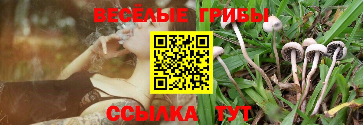 Псилоцибиновые грибы Psilocybe  Псилоцибиновые грибы Magic Shrooms  Карачаевск  Вход с VPN 