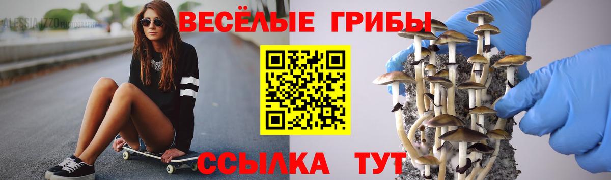 Галлюциногенные грибы Cubensis Карачаевск